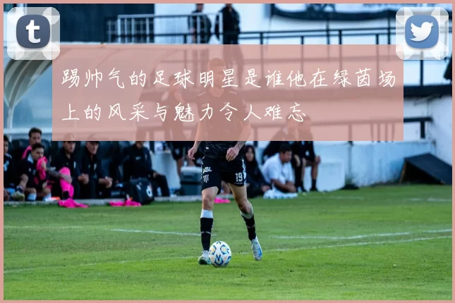 踢帅气的足球明星是谁他在绿茵场上的风采与魅力令人难忘